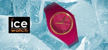 ICE Watch