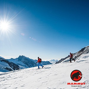 Mammut